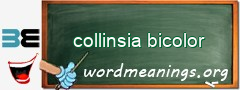 WordMeaning blackboard for collinsia bicolor